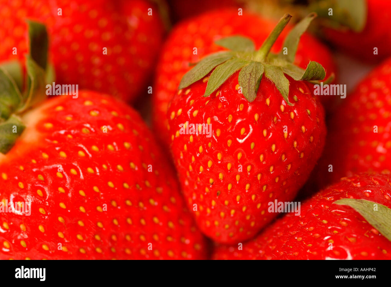 Primo piano di fragole fresche frutti di frutta estiva alla fragola Foto Stock