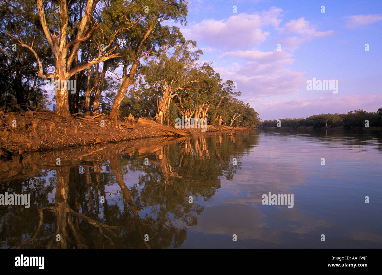 Fiume Murray, Australia Foto Stock