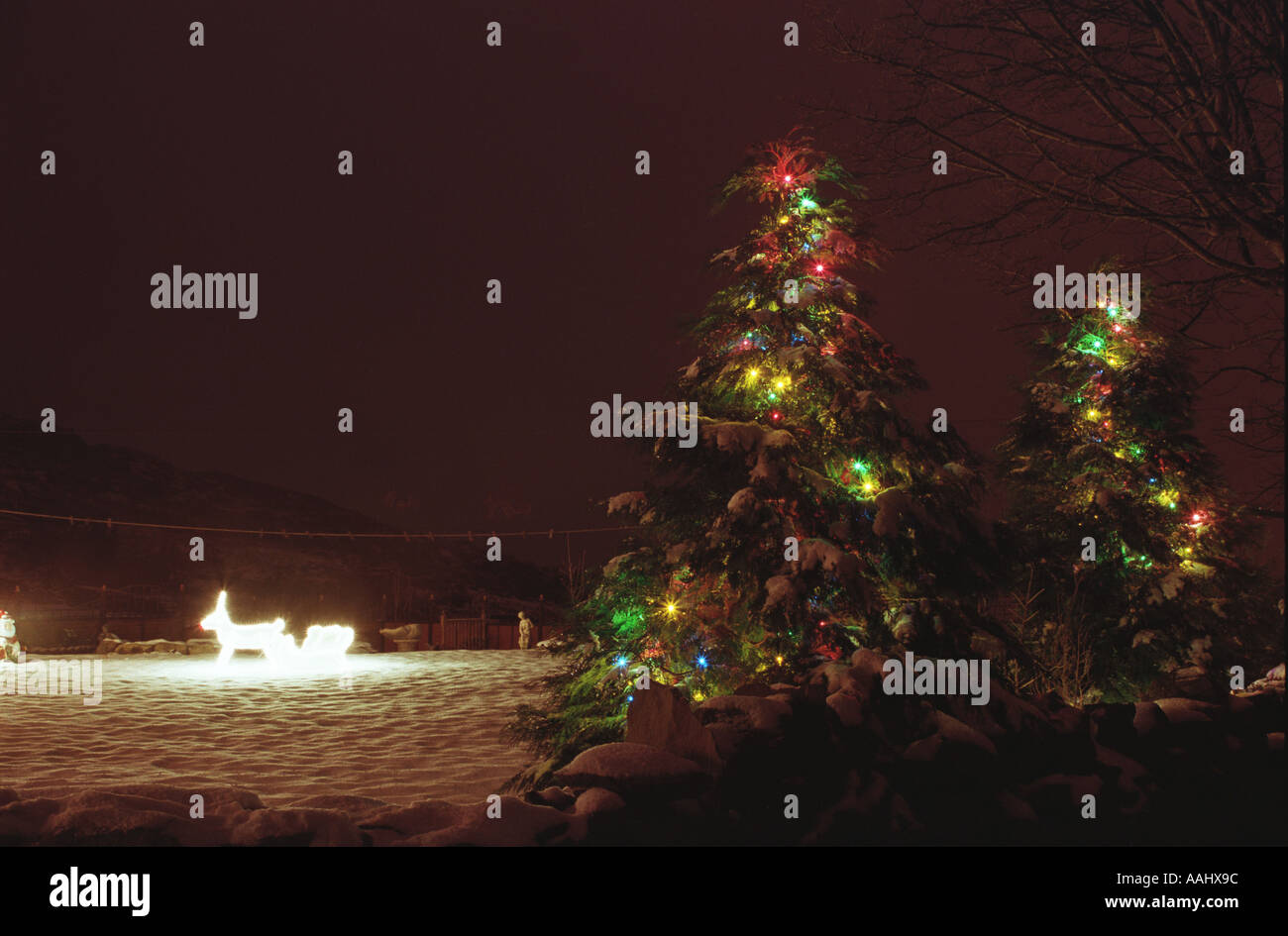 Illuminati al neon e renne sleigh modello e albero di natale di notte nella neve Foto Stock