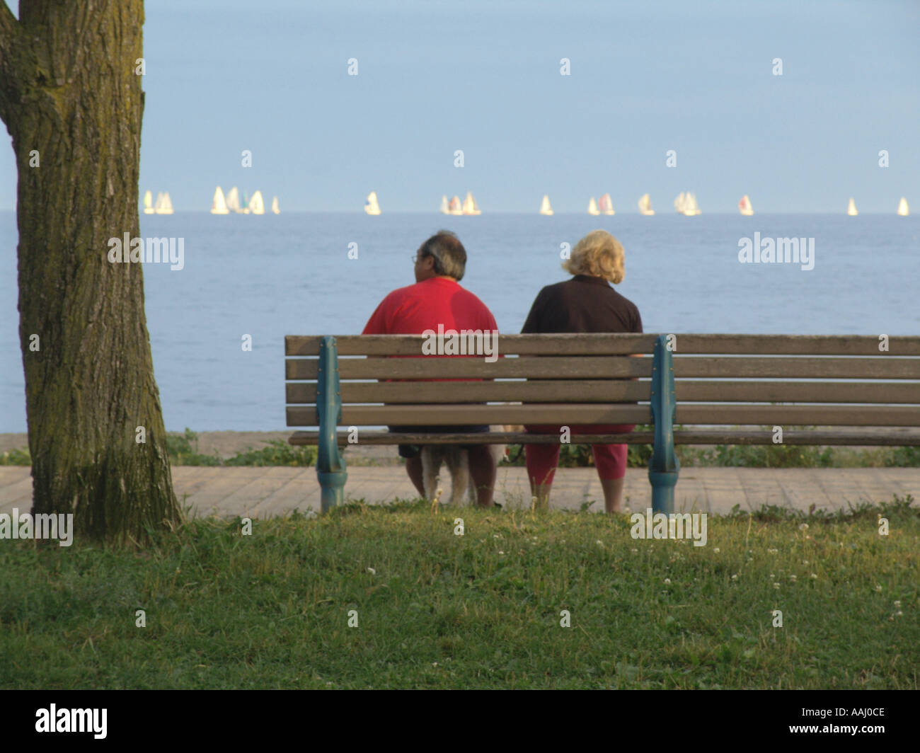 Un paio di rilassarvi su una panchina nel parco con yachts racing in background Foto Stock