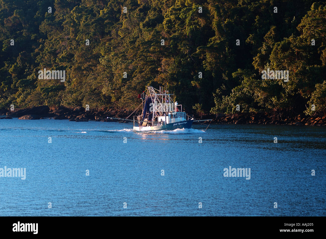 Barca da pesca entra nella foresta pluviale foderato Mourilyan porto del nord del Queensland dsc 0397 Foto Stock