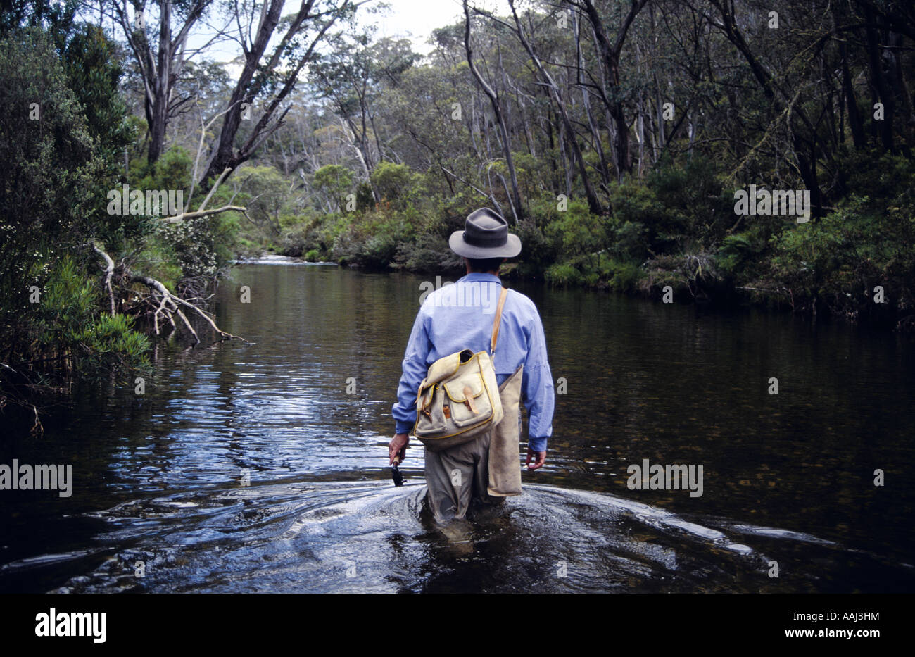 Pesca a mosca, Cobungra River, , NE Victoria, Australia , Foto Stock