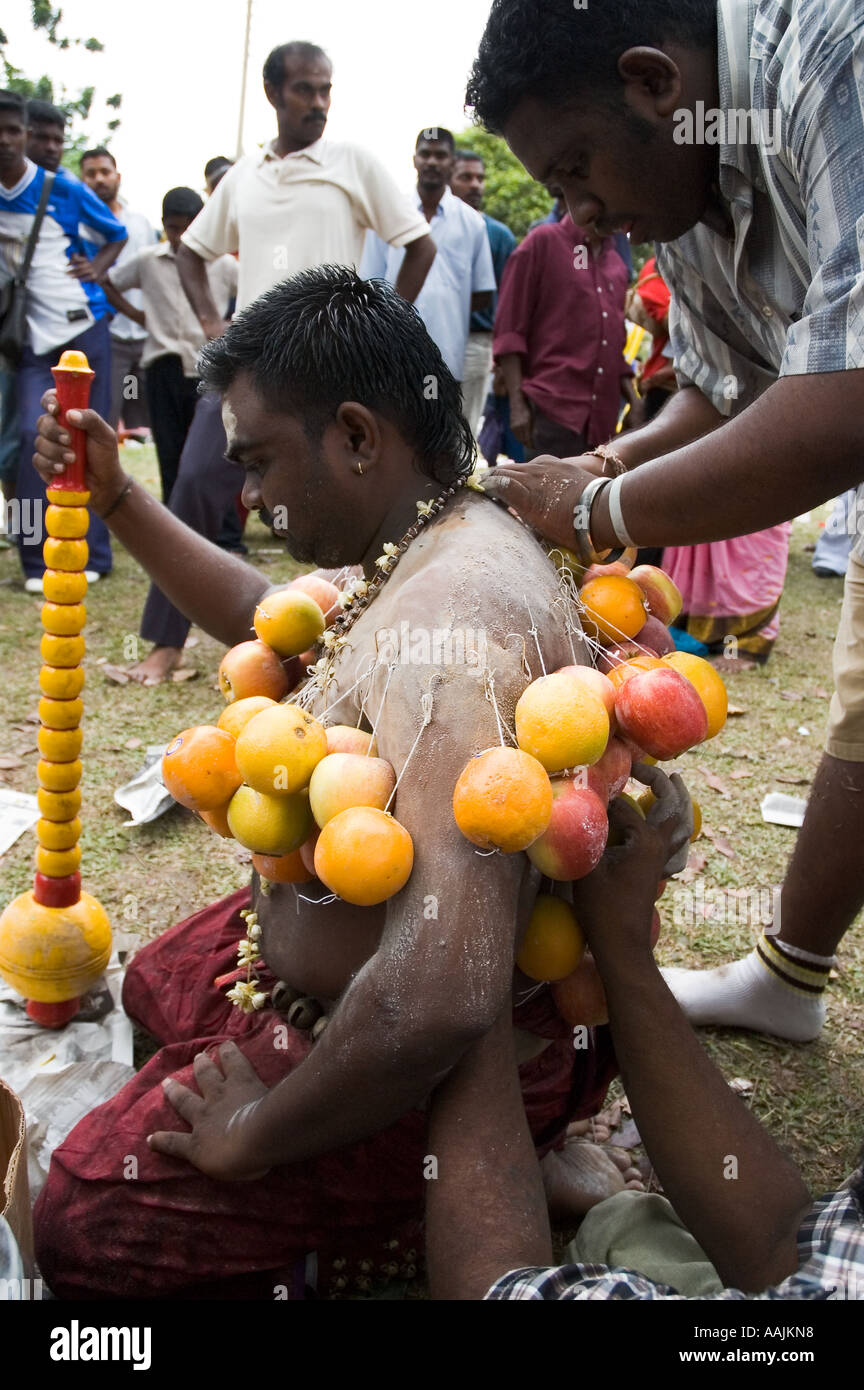 Il festival indù di Thaipusam celebrata presso le Grotte di Batu a Kuala Lumpur in Malesia Foto Stock