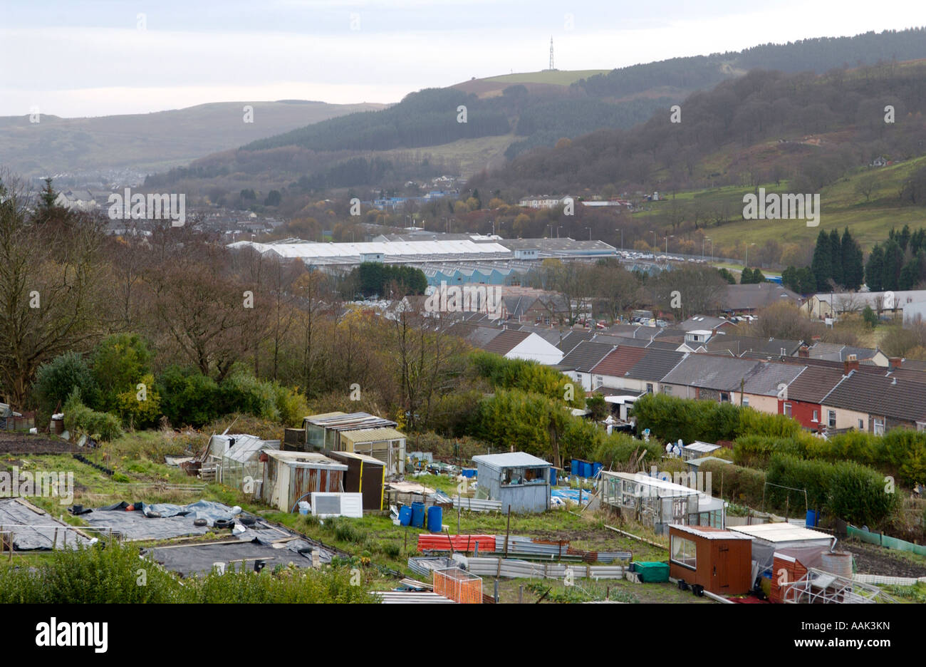 Vista su appezzamenti tradizionale scatola terrazzati e fabbriche in Treorchy Rhondda Valley South Wales UK Foto Stock