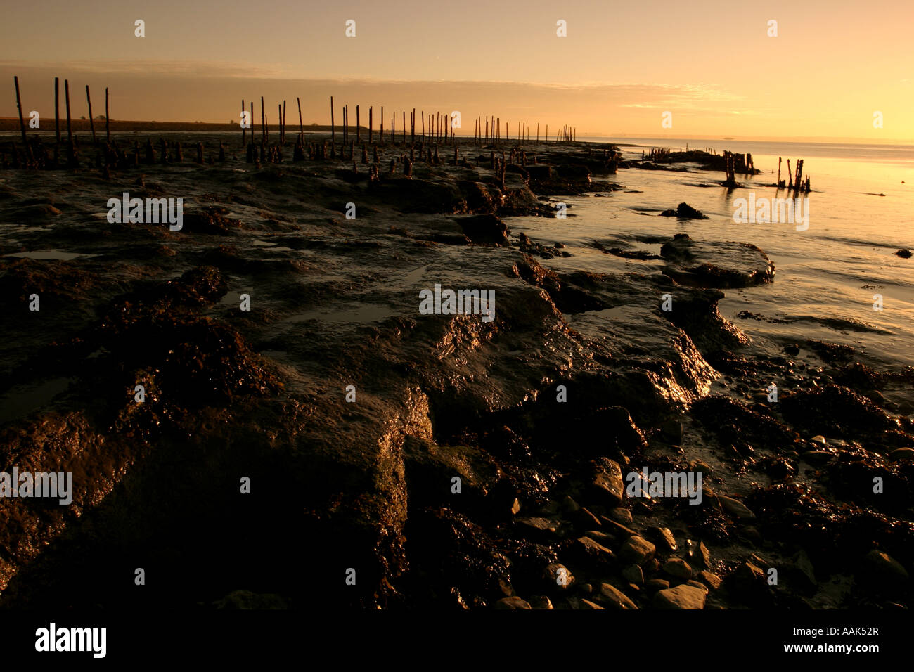 Goldcliff, Severn Estuary, Nr Newport Foto Stock