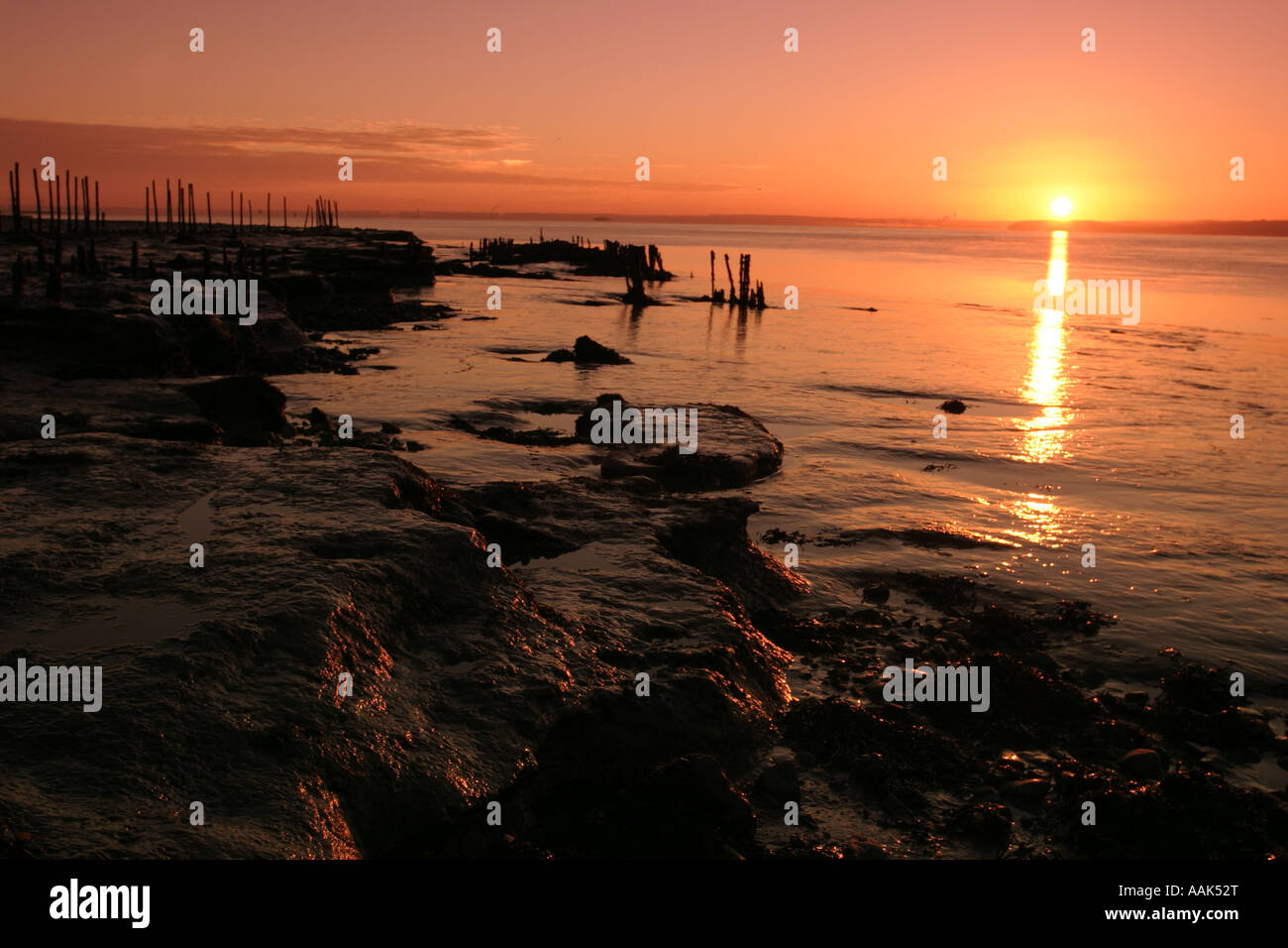 Goldcliff, Severn Estuary, Nr Newport Foto Stock
