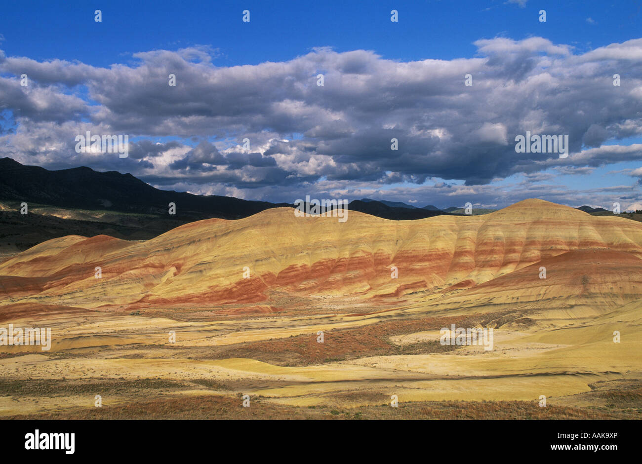 Colline dipinte di John Day Fossil Beds National Monument Oregon Foto Stock