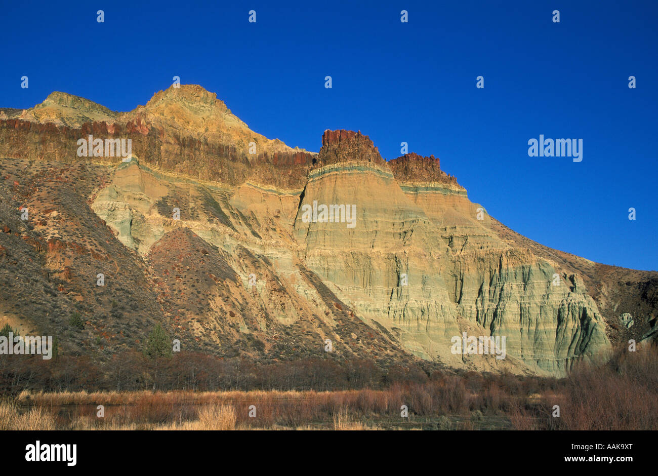 Cattedrale roccia erosa tufo vulcanico tappati con il basalto a Pecora Gruppo Rock John Day Fossil Beds National Monument Oregon Foto Stock