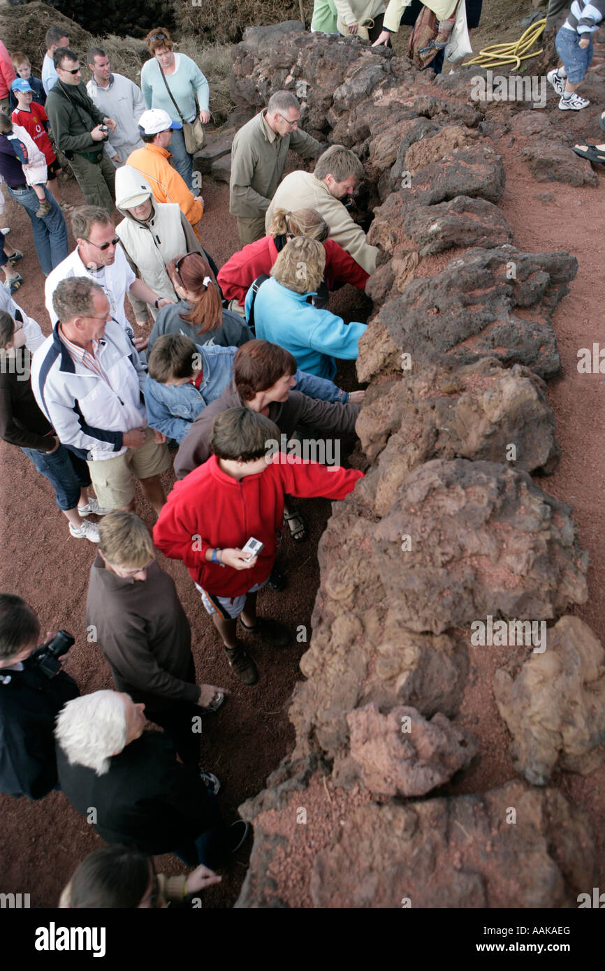 I turisti toccare rocce ancora calda dalla metropolitana di attività termica a Timanfaya Montagna di Fuoco Foto Stock