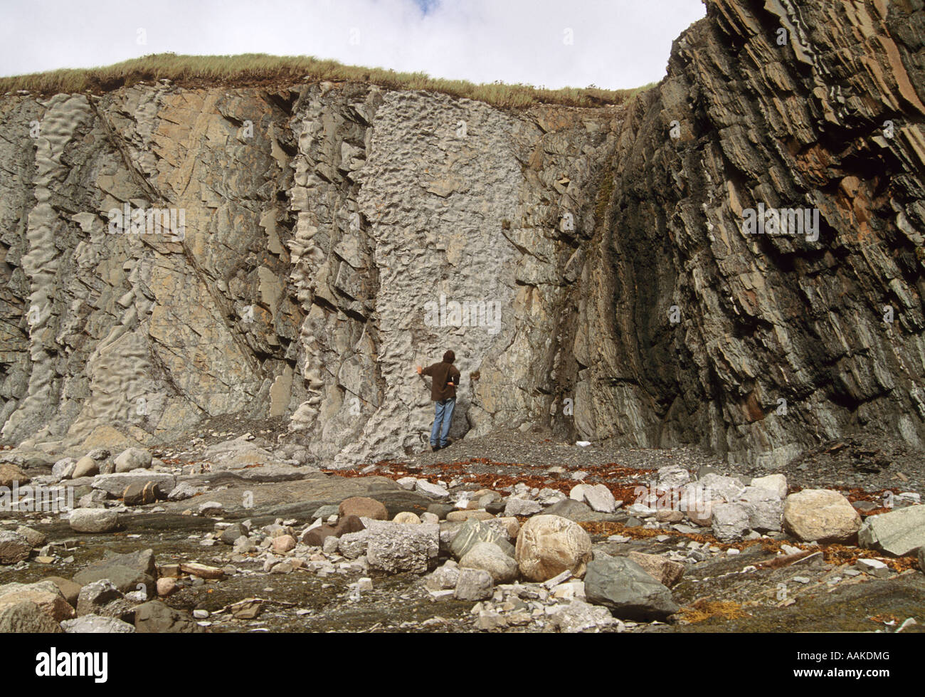 Calcari stratificati e formazioni argillose ribaltato a 115 gradi 500 milioni di anni punto verde Parco Nazionale Gros Morne Terranova Cana Foto Stock