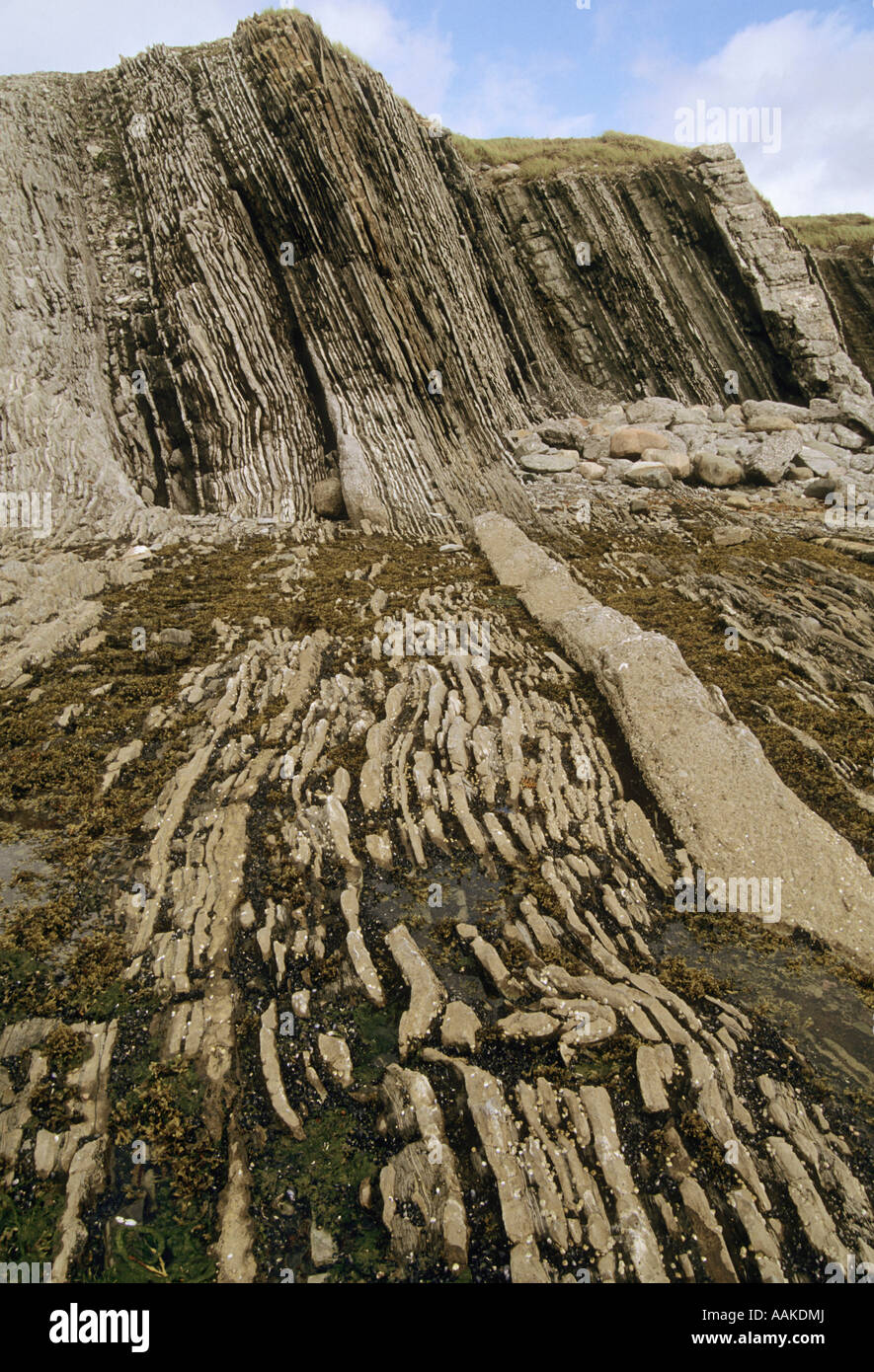 Calcari stratificati e formazioni argillose ribaltato a 115 gradi 500 milioni di anni punto verde Parco Nazionale Gros Morne Terranova Cana Foto Stock