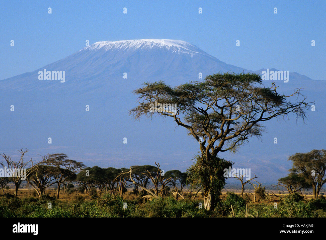 Anni Novanta il Monte Kilimanjaro VISTO DA AMBOSELI NATIONAL PARK IN KENYA Foto Stock