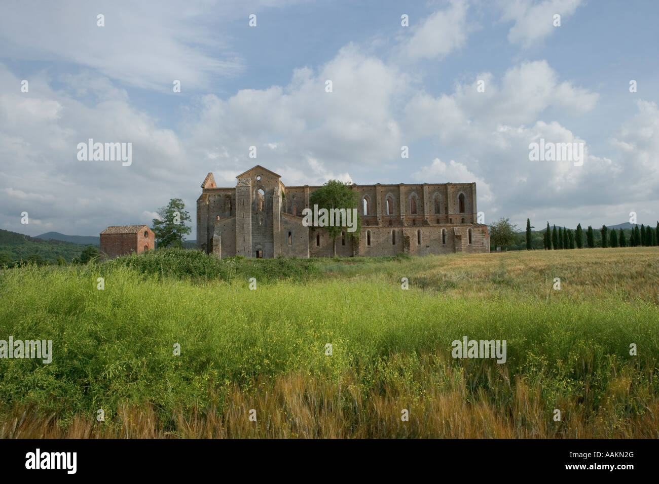 Italia Europa Unione Europea Membro italiano sud occidentali della Toscana del Sud Toscana San Galgano Foto Stock