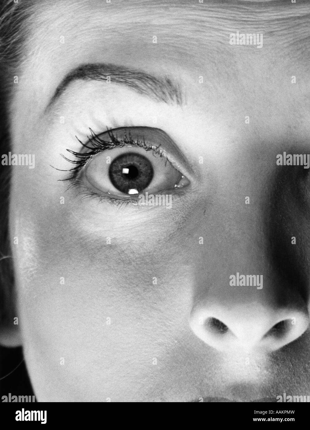 Negli anni quaranta anni cinquanta anni sessanta close-up di donna di naso e occhi aperti molto ampia con arcate BROW guardando la fotocamera Foto Stock