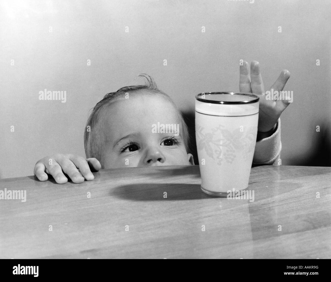 Anni Cinquanta TODDLER portandosi fino ad agguantare un bicchiere di latte sulla parte superiore della tavola Foto Stock
