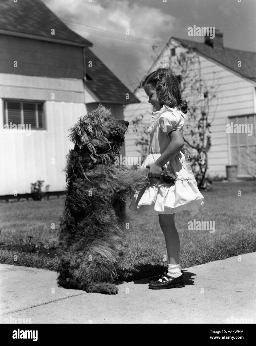 Anni Cinquanta ragazza sul marciapiede suburbana tenendo le zampe del cane Shaggy Foto Stock