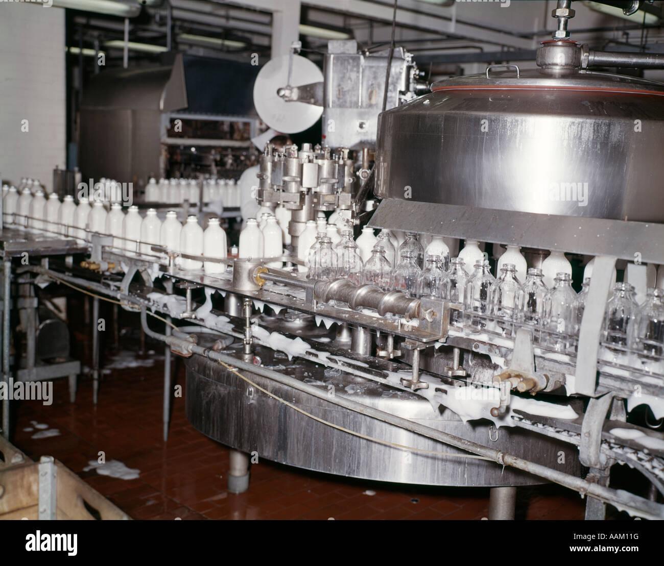 Anni Cinquanta anni sessanta bottiglie in vetro in movimento attraverso il latte macchine imbottigliamento Foto Stock