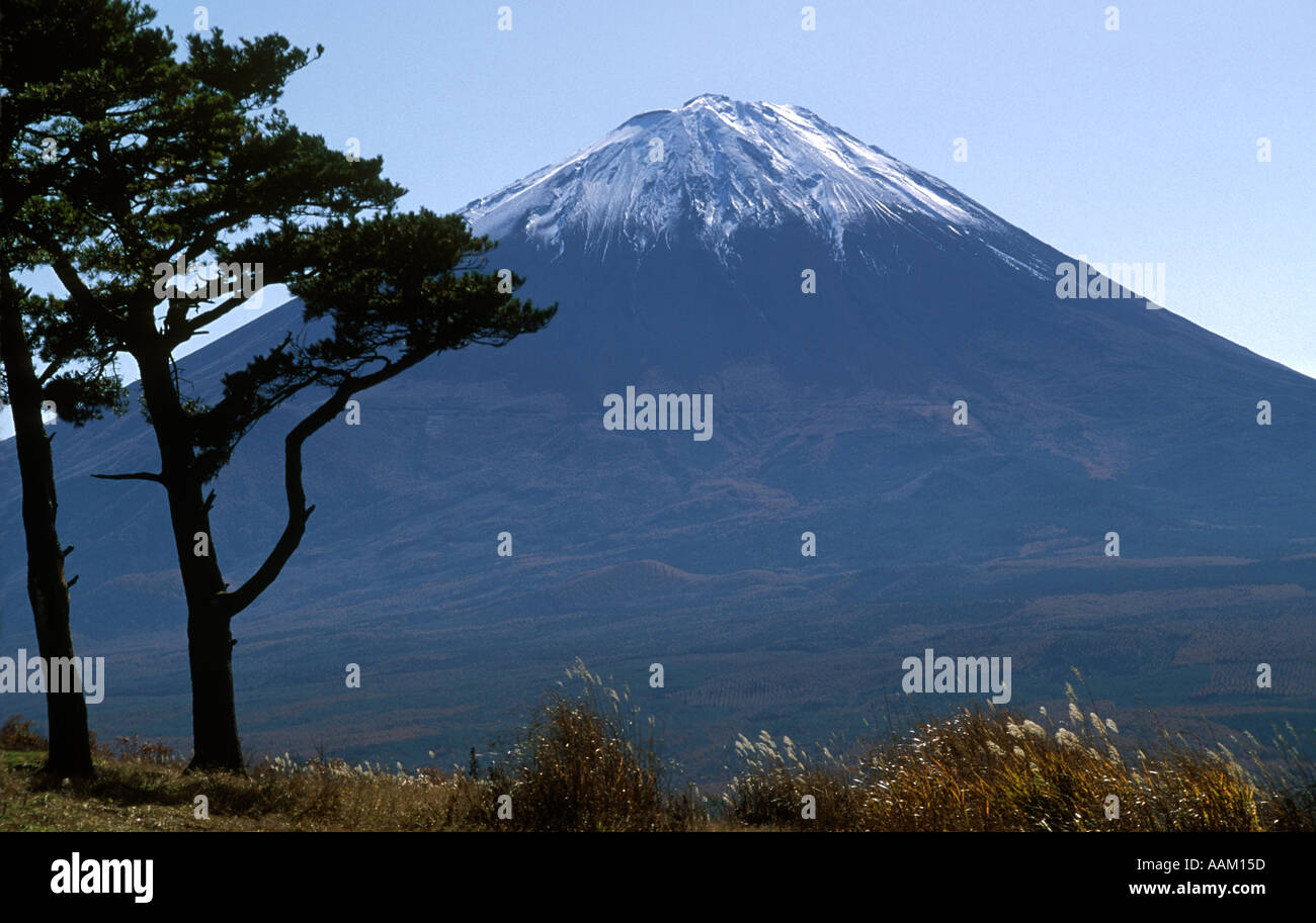 Il monte Fuji come visto dalla collina di acero vicino al lago Saiko in 5 zona dei laghi FUJI HAKONE IZU NATIONAL PARK Foto Stock