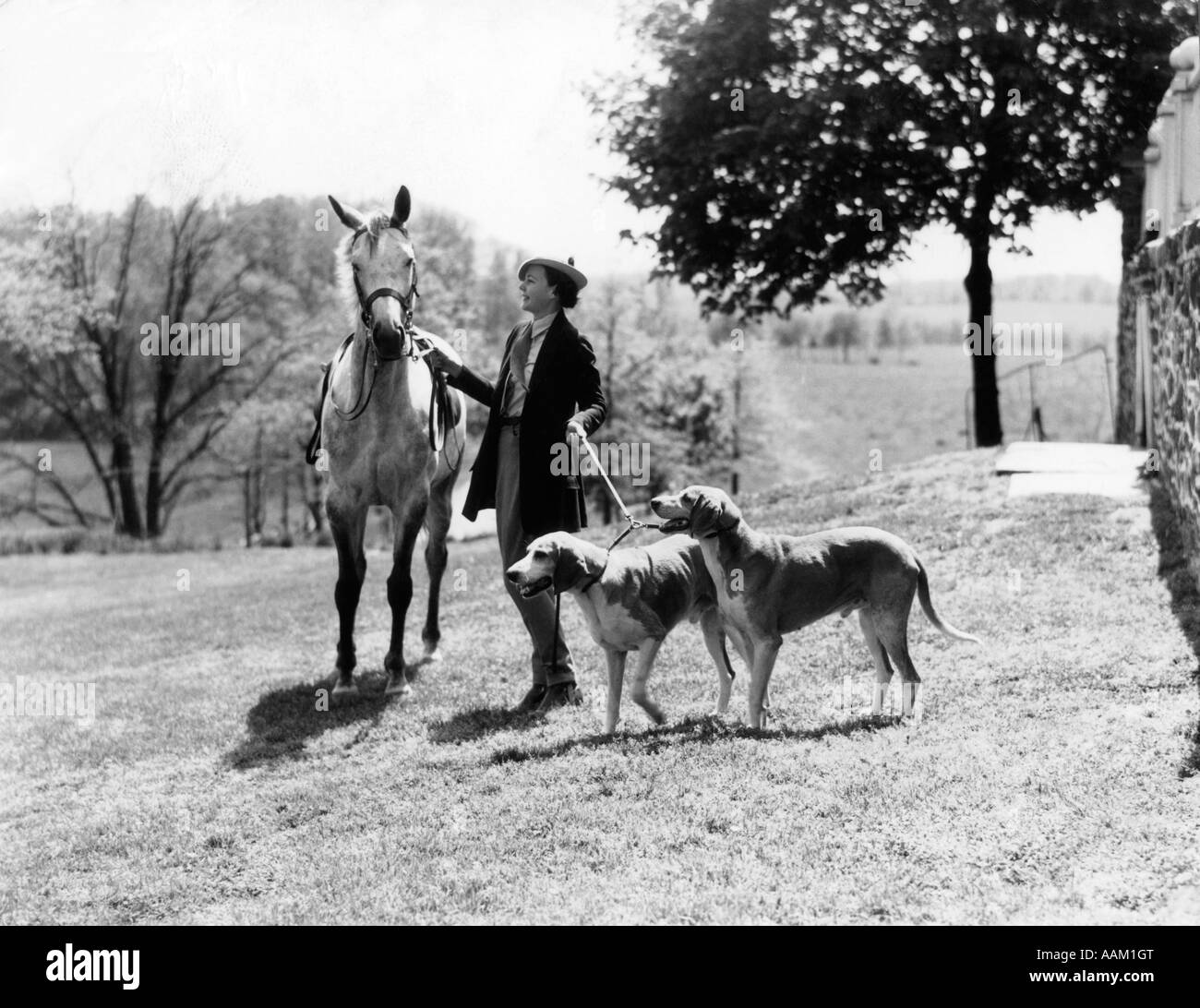 1930s donna in piedi accanto a cavallo tenendo due cani al guinzaglio di ricchezza di moda elegante COUNTRY ESTATE Foto Stock