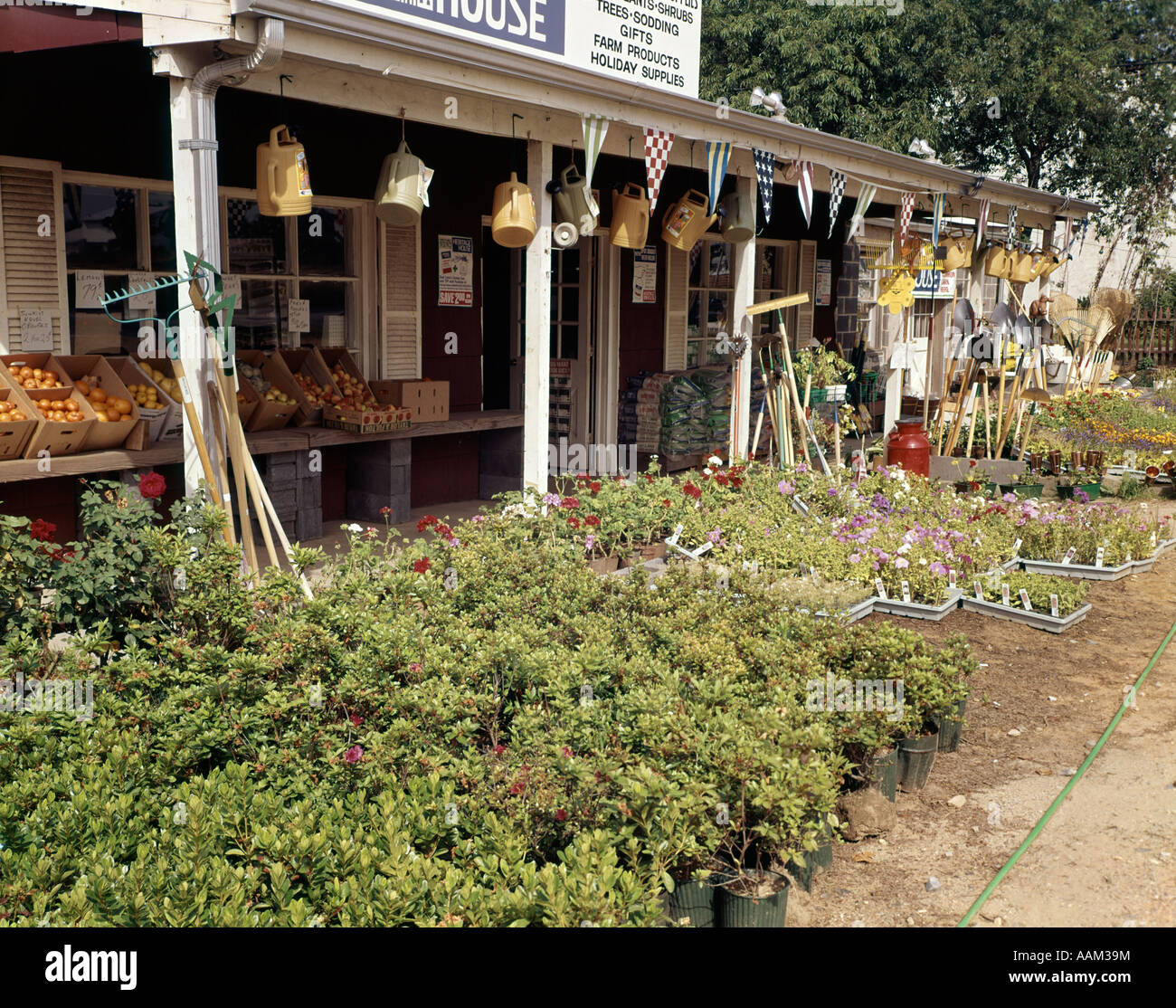 Anni sessanta fiori Giardino Negozio di mercato paese Foto Stock