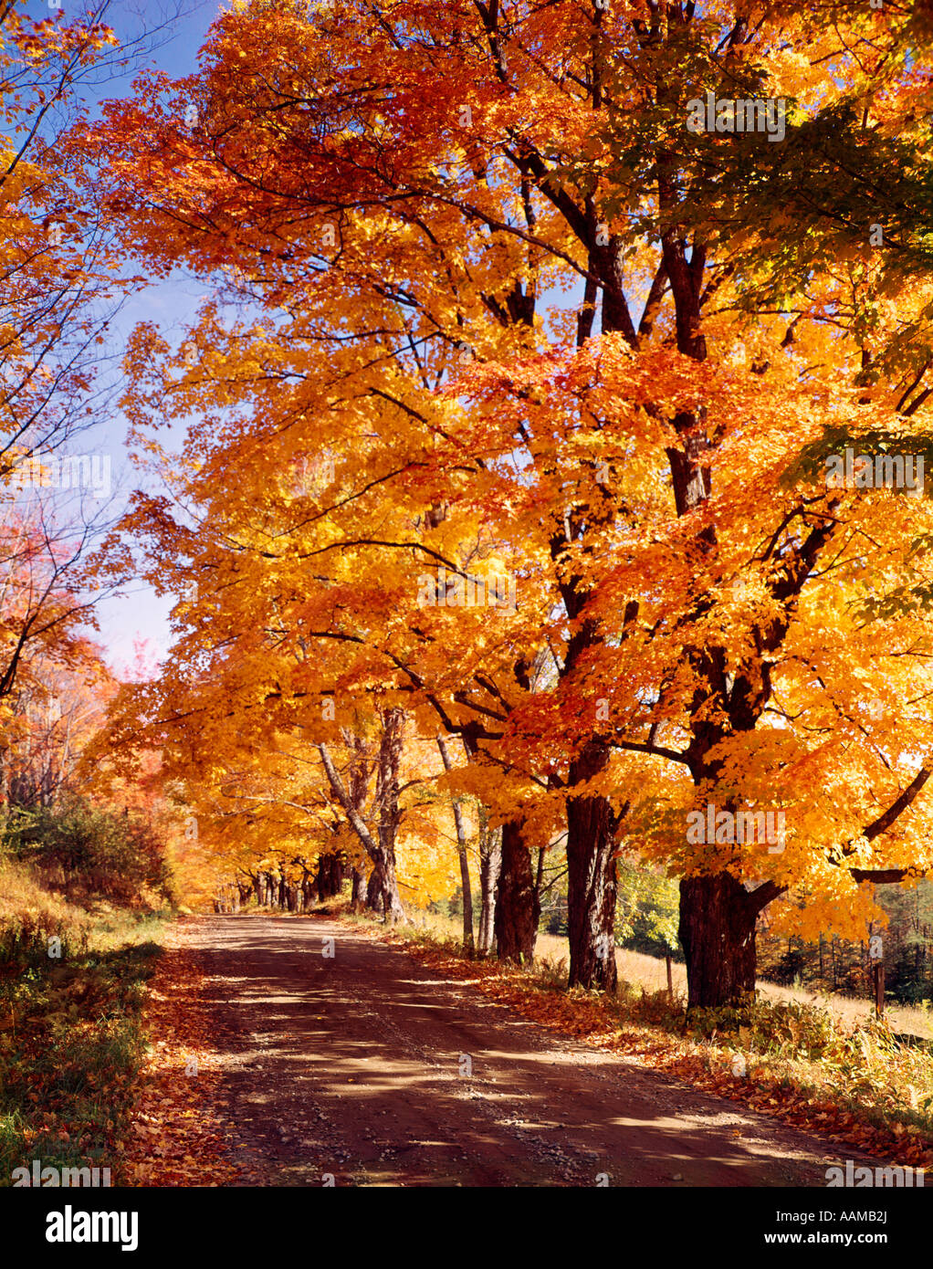 Autunno COUNTRY ROAD Foto Stock