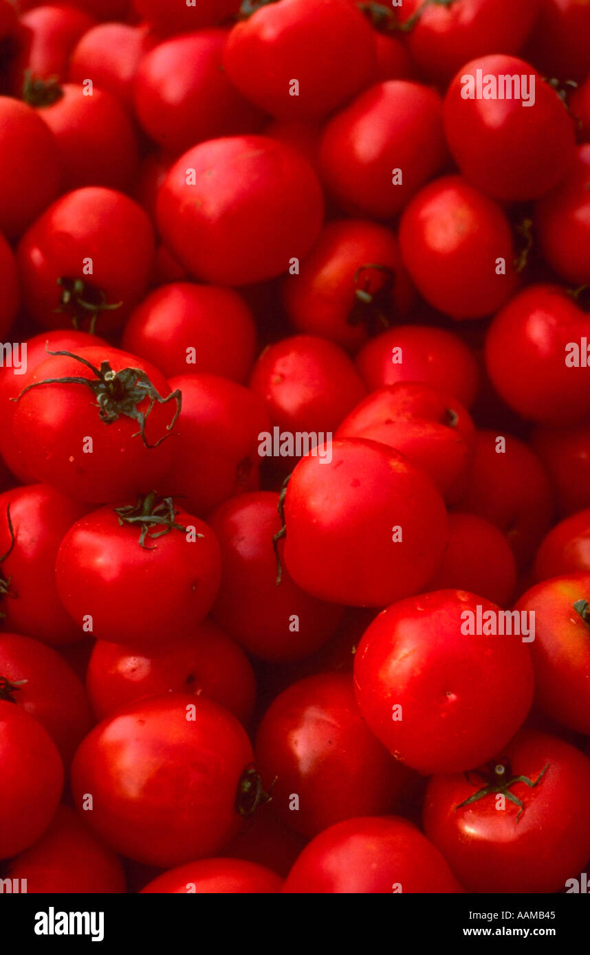 Mercato di pomodori in Arles Provence Francia Foto Stock