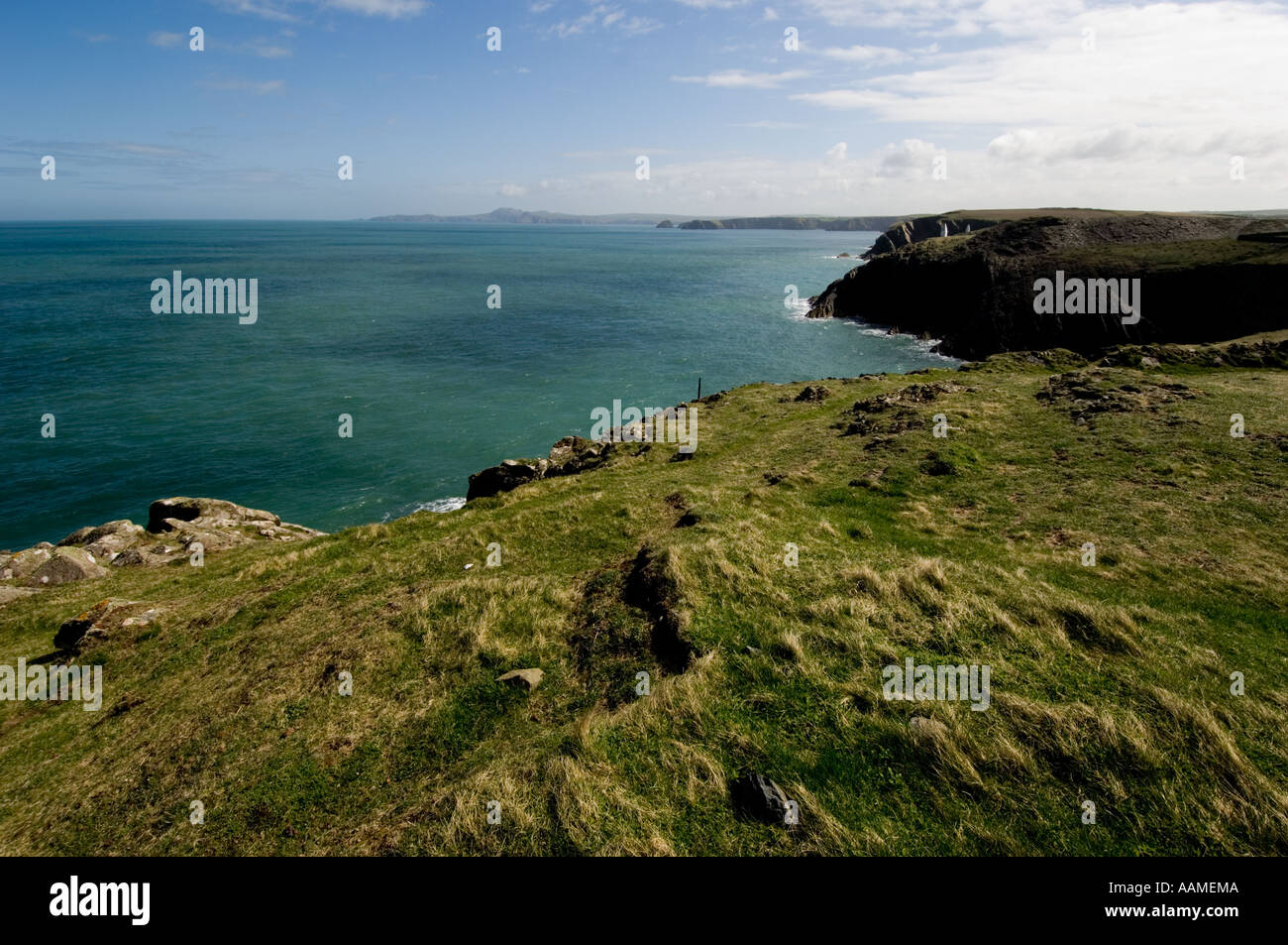 Guardando a Nord dalla Porthgain lungo il pembrokeshire sentiero costiero, pembrokeshire west wales UK Foto Stock