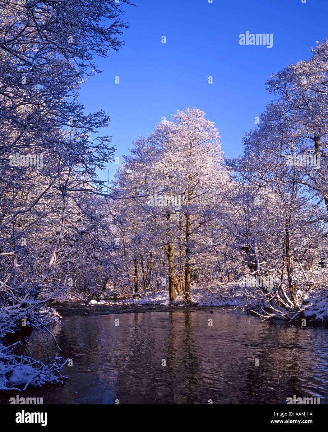 Fiume Leven in inverno la neve, vicino a Hutton Rugby, North Yorkshire, Inghilterra Foto Stock