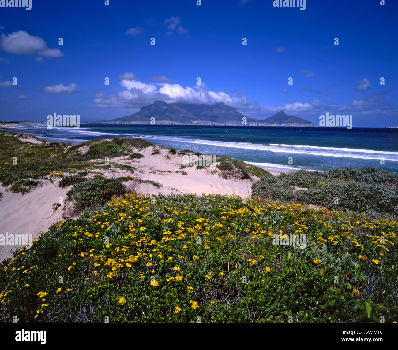 La Table Mountain e Cape Town, dalla vista tabella, Sud Africa Foto Stock