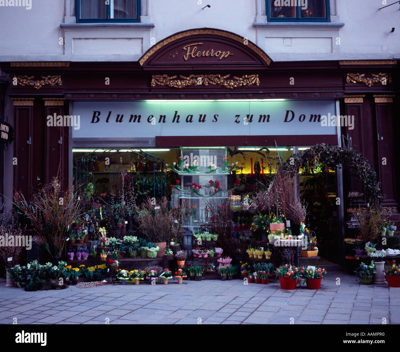 Negozio di fiori in St Stephansplatz vicino alla cattedrale, Vienna, Austria Foto Stock