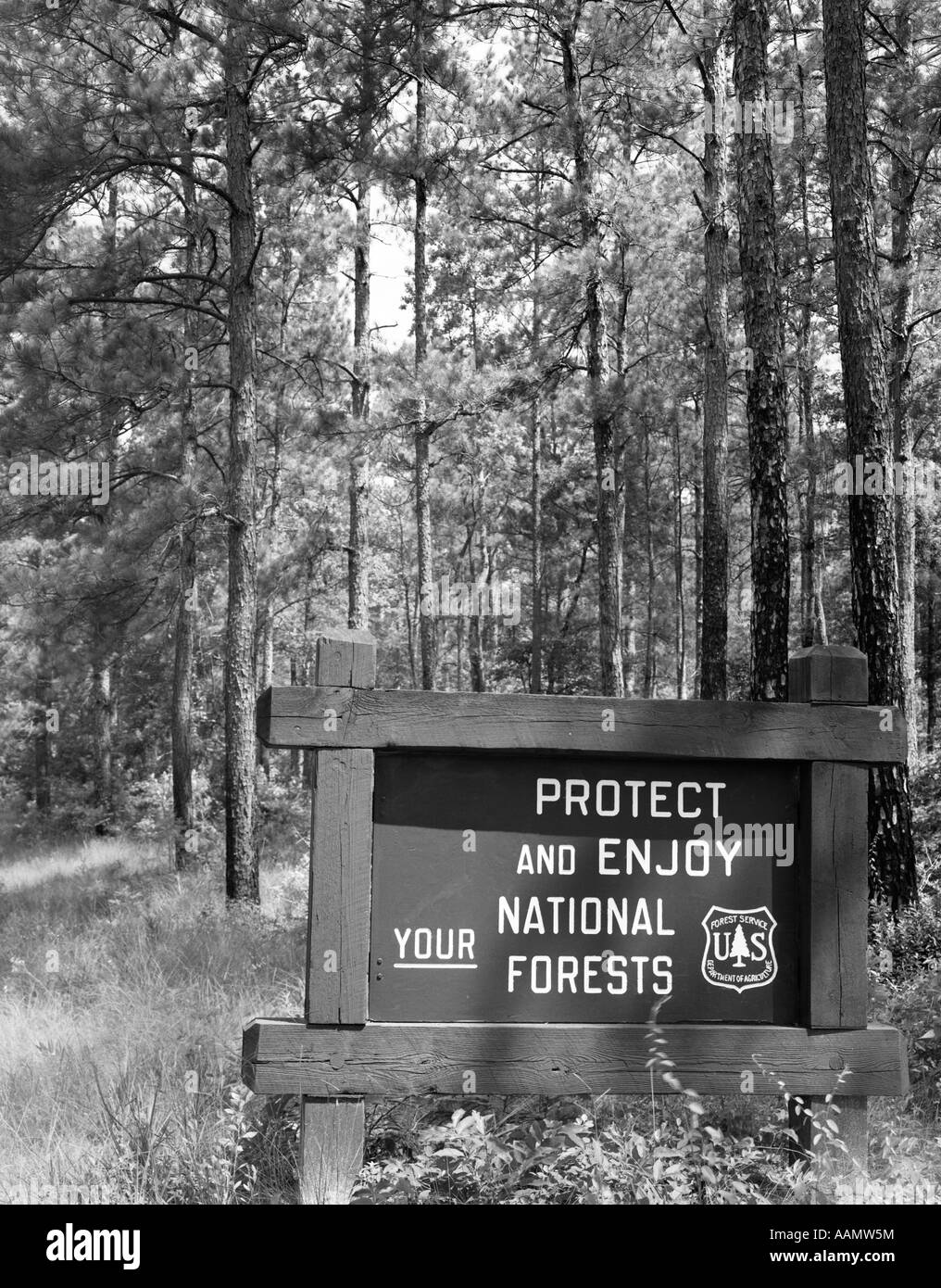 Anni ottanta segno nella parte anteriore della zona boschiva la lettura di proteggere e godetevi il vostro foreste nazionali Foto Stock
