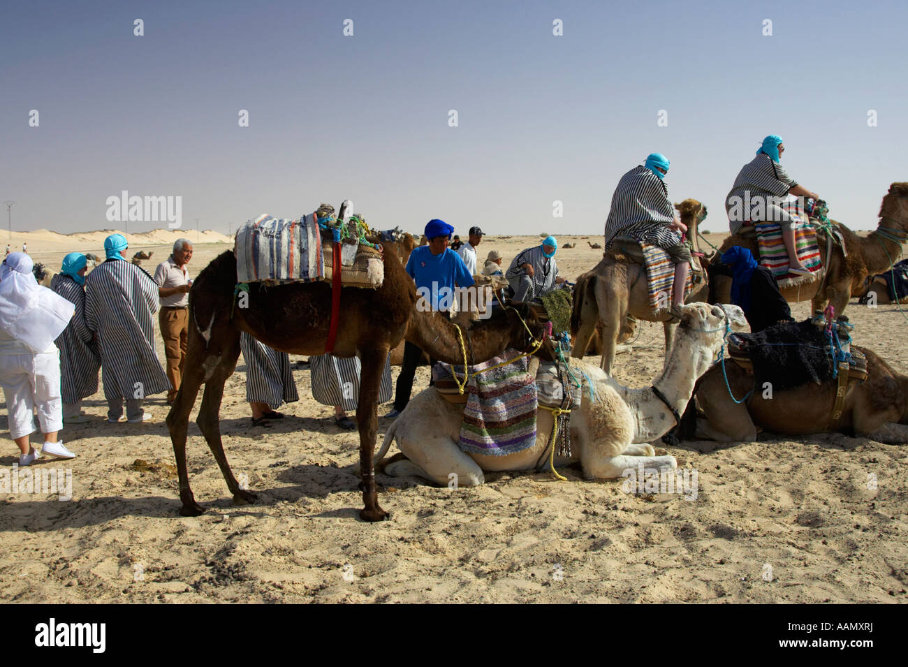 I turisti in coda per salire sul cammello per un viaggio nel deserto del Sahara a Douz Tunisia Foto Stock