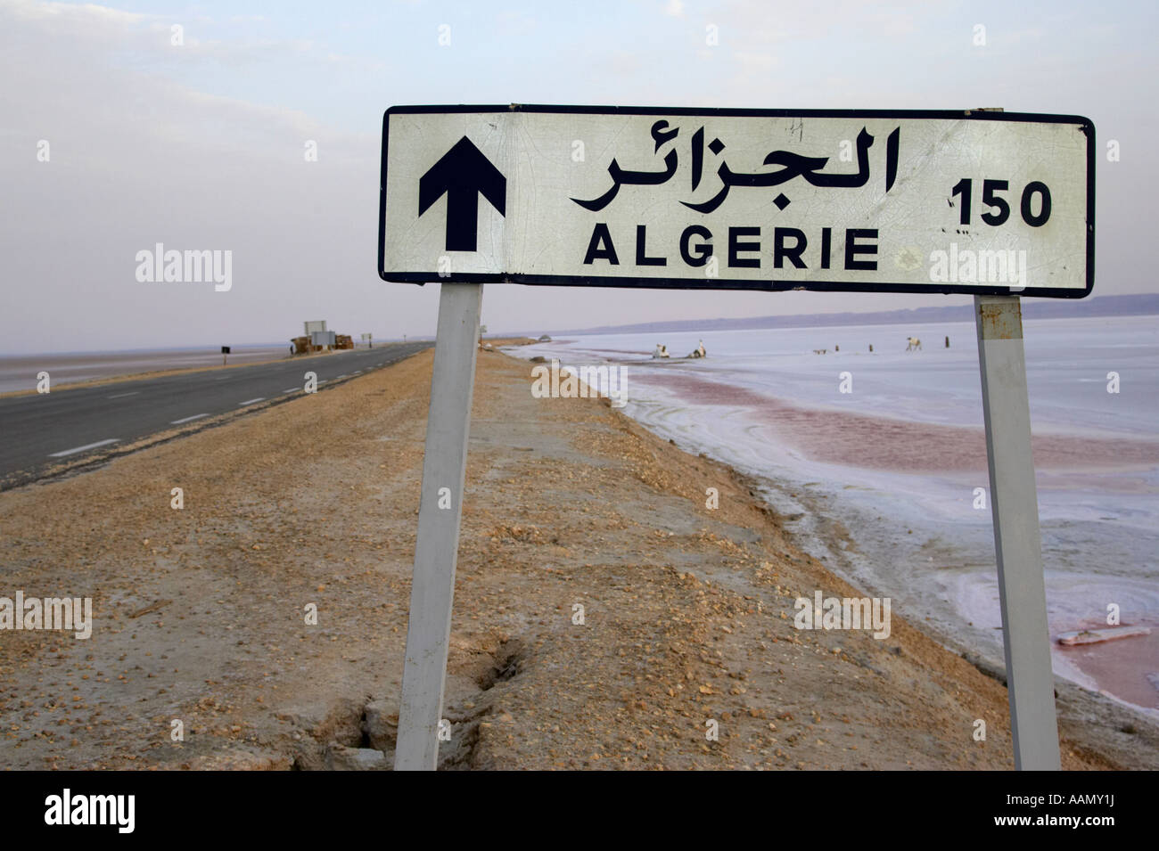 Cartello stradale in francese e arabo che indica l'Algeria 150 km sulla causeway road a chott el djerid tunisia Foto Stock