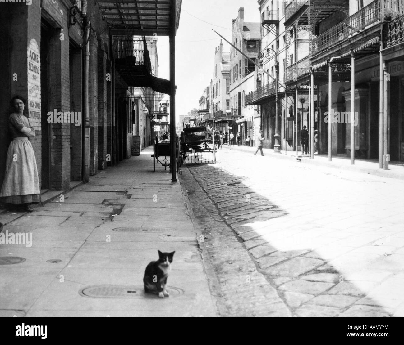 Inizio novecento SEDUTA CAT STREET parte vecchia di New Orleans in Louisiana USA Foto Stock