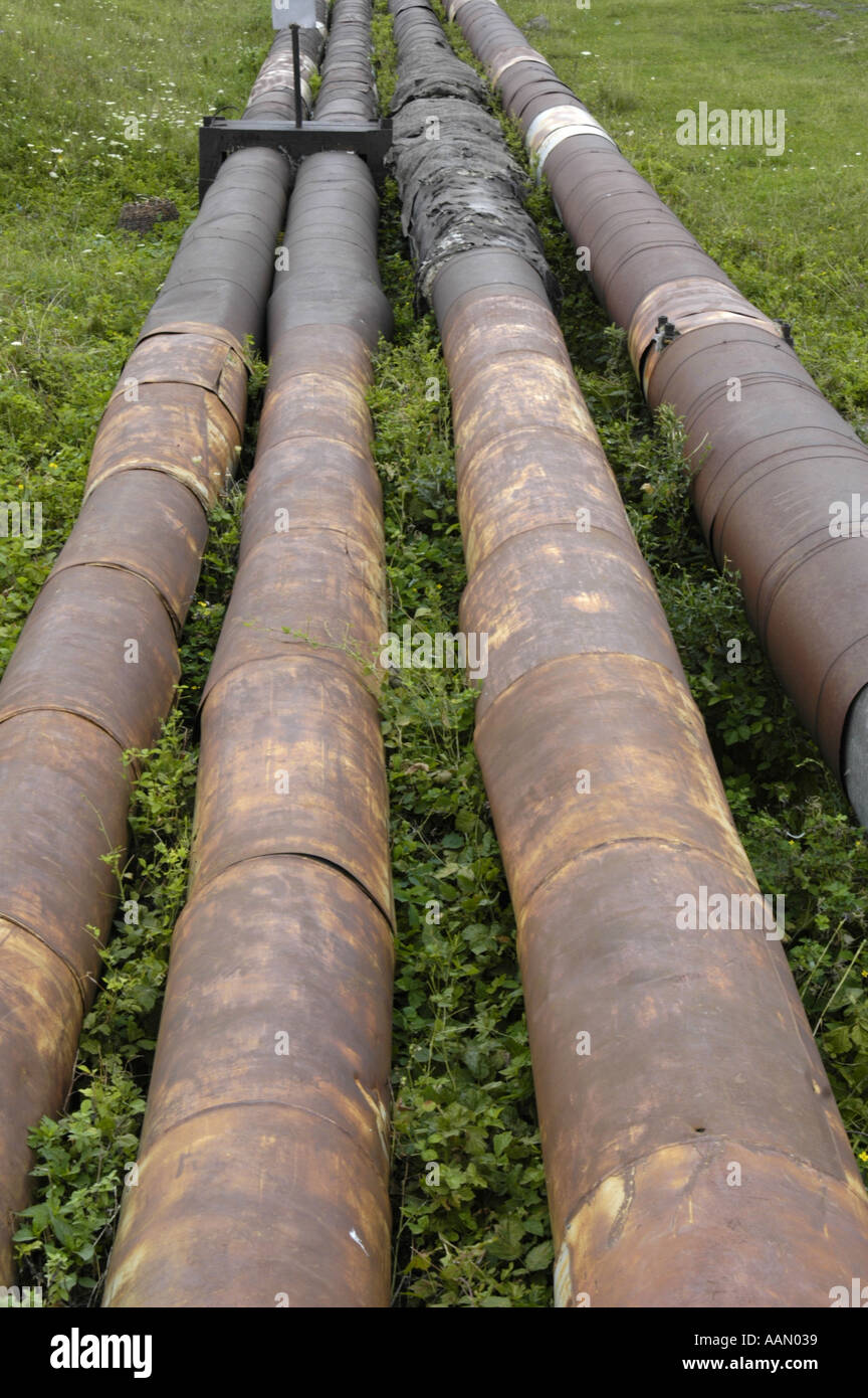 sistema di tubi Foto Stock