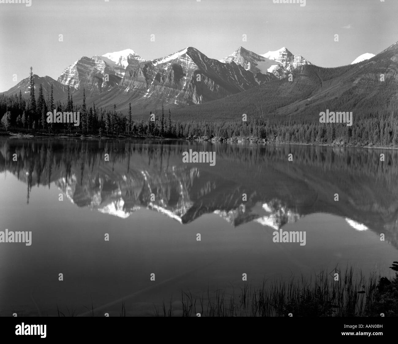 Anni sessanta LAGO IN rocciose. Il Canada a nord del Lago Louise su JASPER AUTOSTRADA CANADA Foto Stock