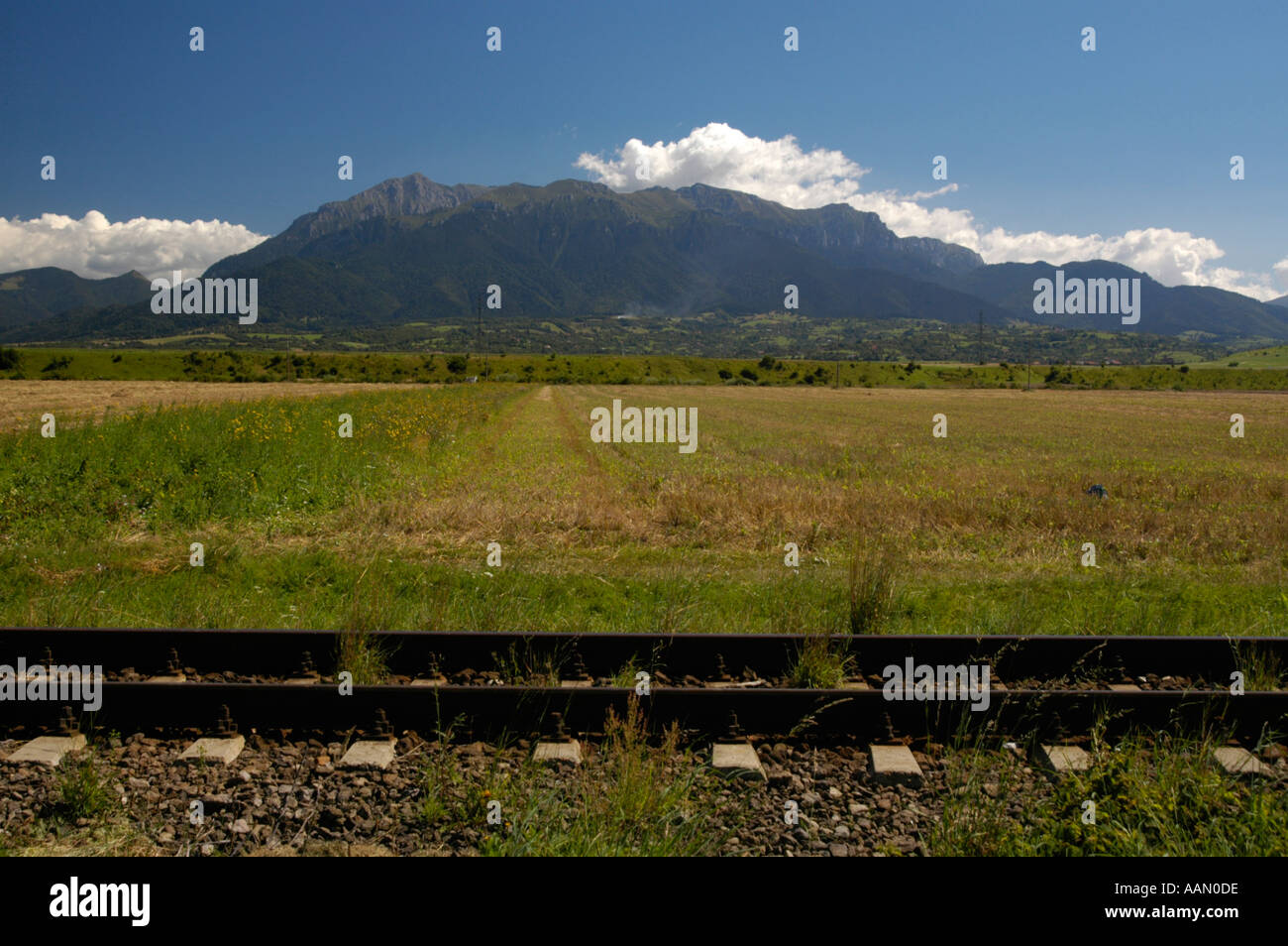 Zarnesti, montagne di Bucegi Foto Stock