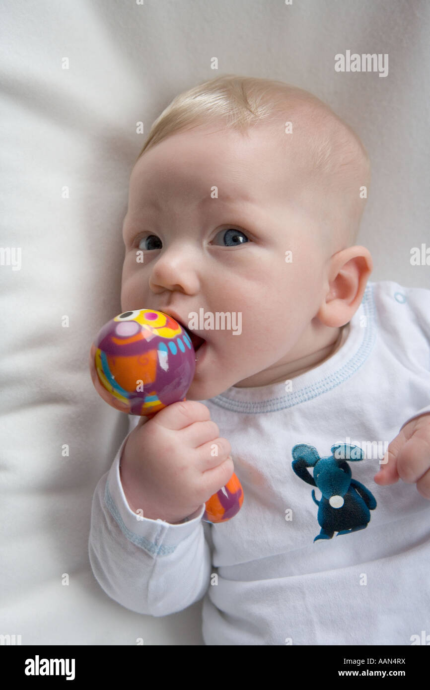 Baby leccare a un sonaglio Foto Stock