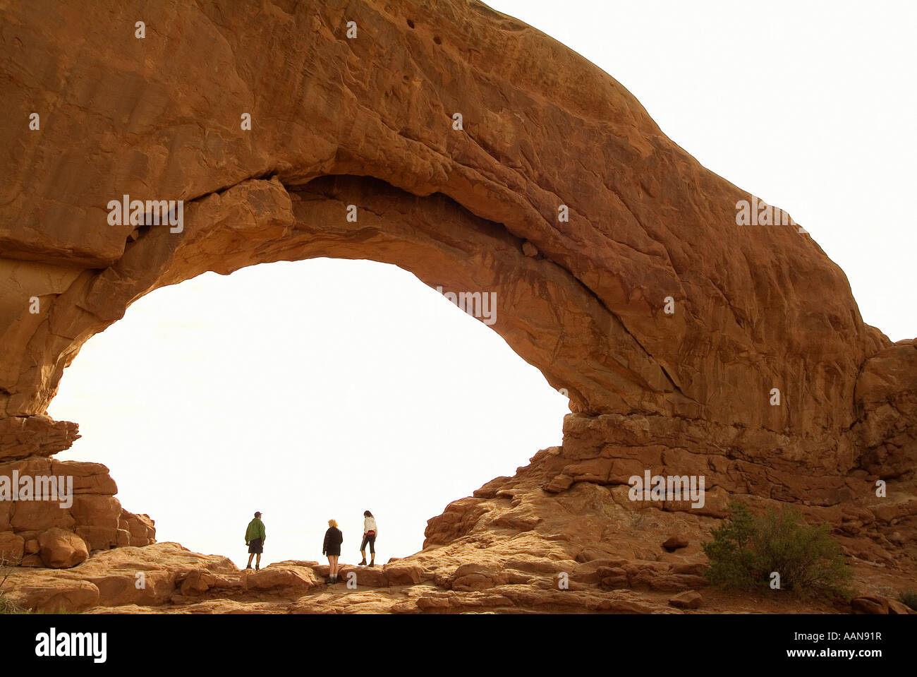 Finestra del nord. Arches National Park. Nei pressi di Moab. Lo stato dello Utah. Stati Uniti d'America Foto Stock
