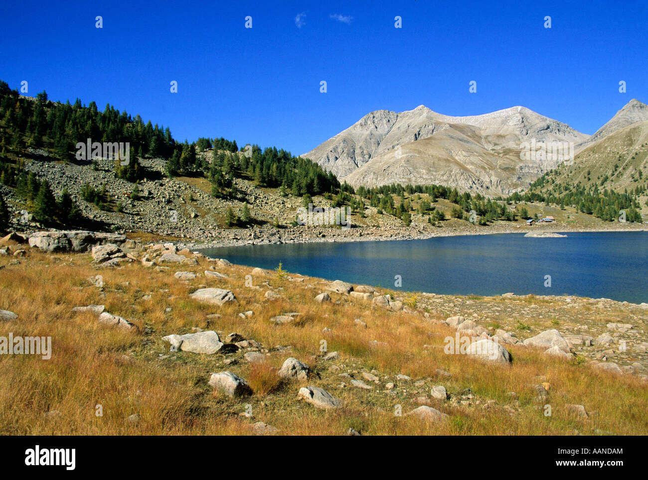 Lago di Allos, Alpes de Haute Provence, Francia Foto Stock
