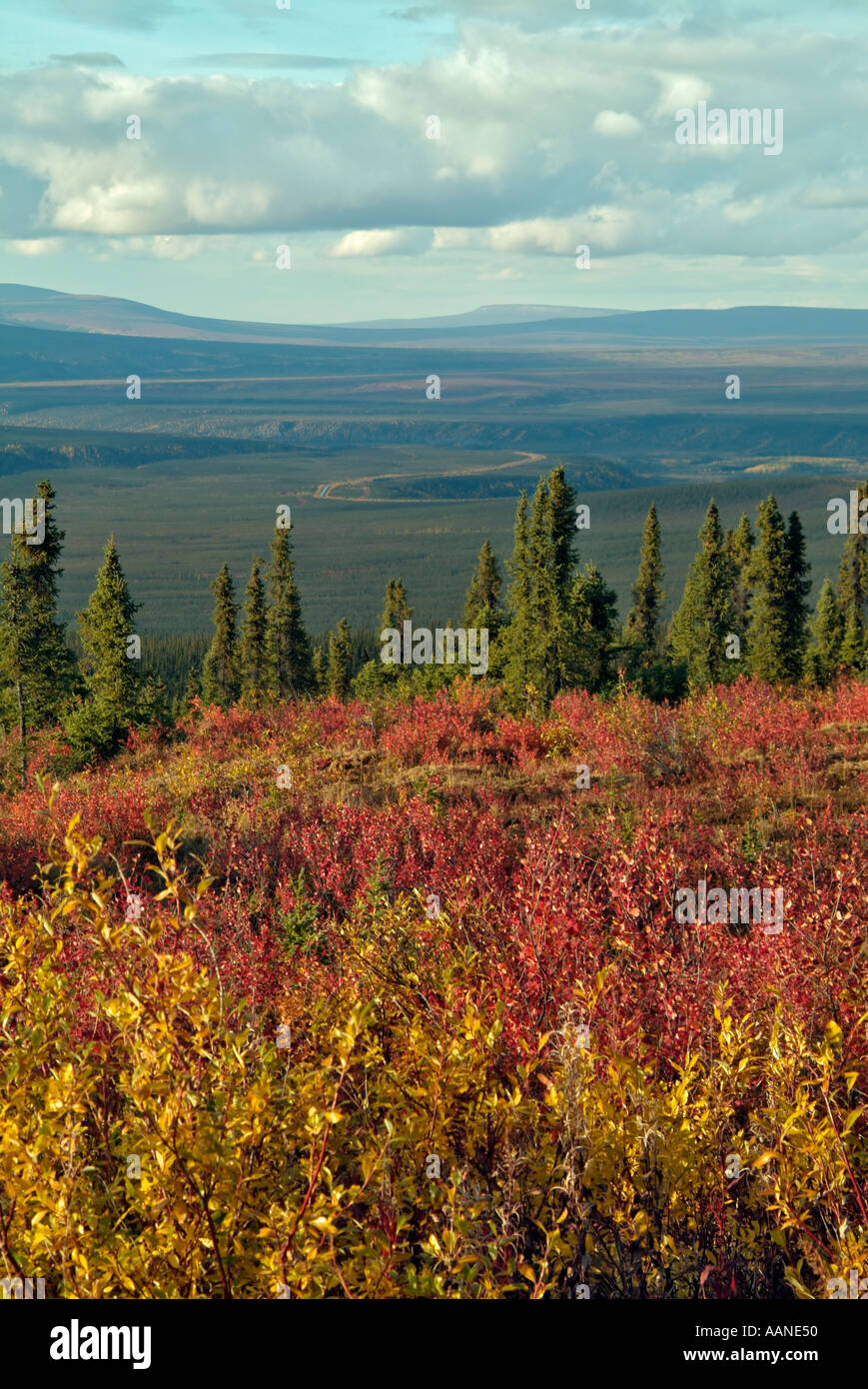 La tundra in autunno, vista da Eagle Plains Campeggio, Dempster Highway, Yukon, Canada Foto Stock