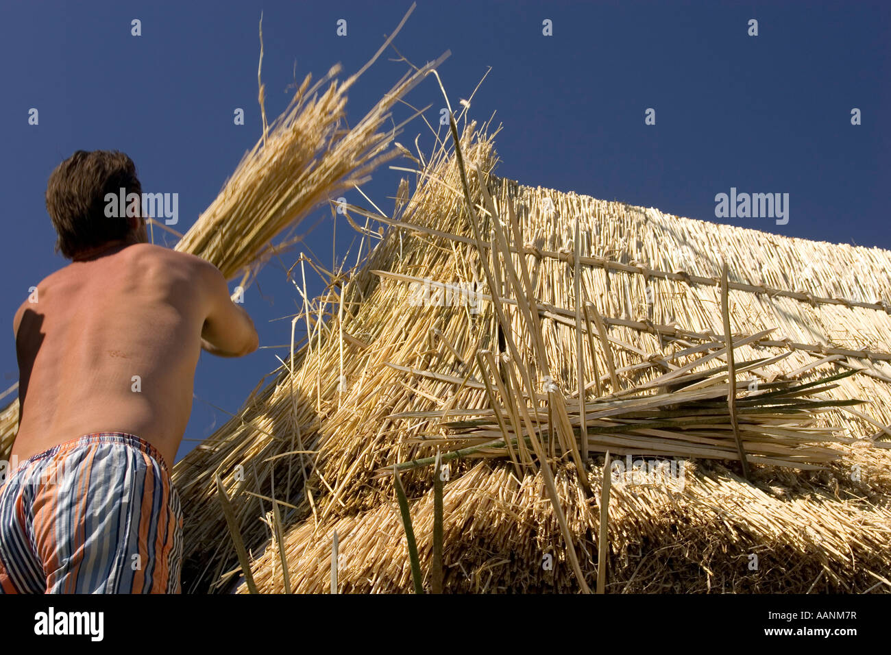 La Thatcher lavorando sul colmo del tetto Foto Stock