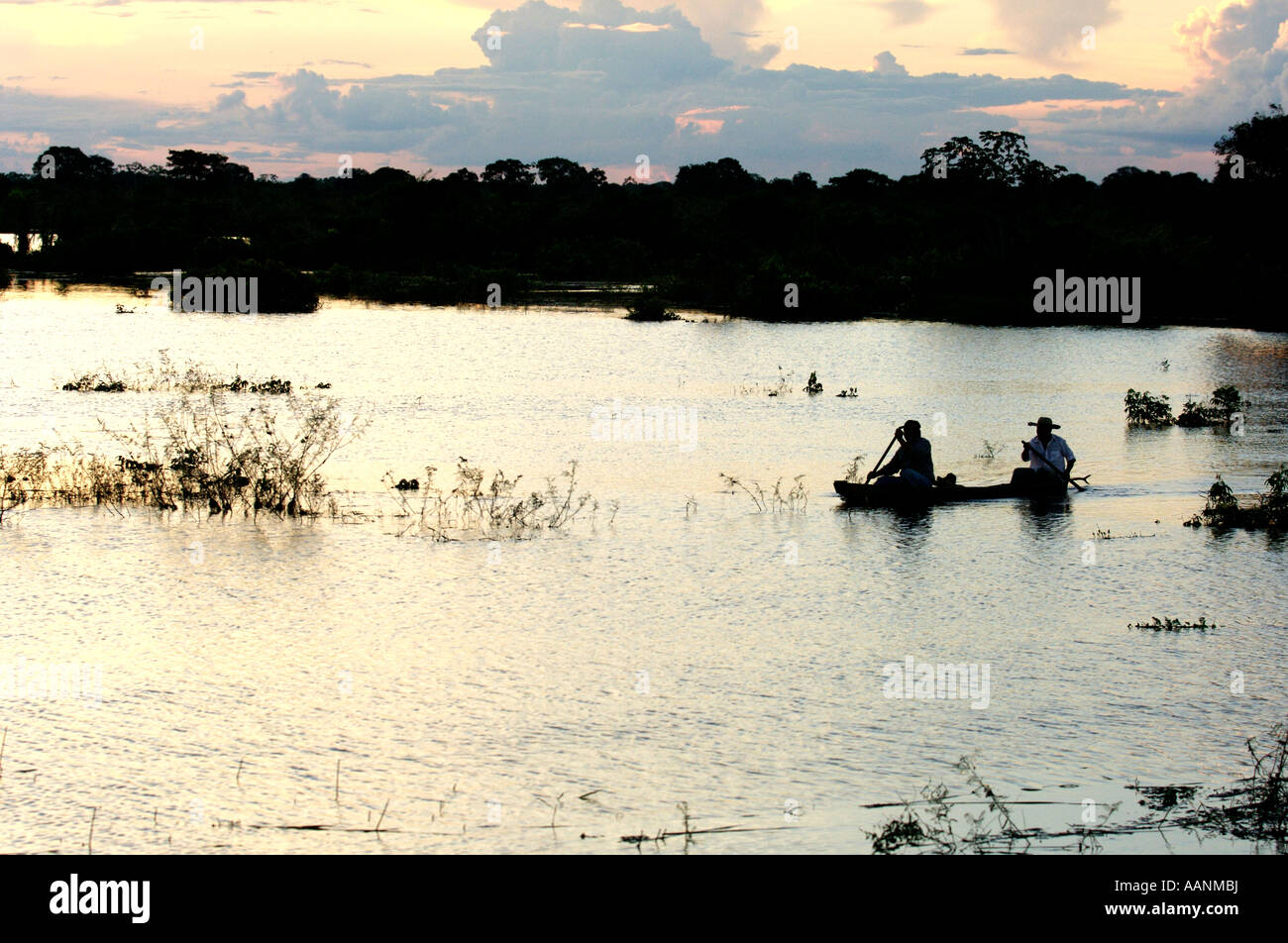 Circondato e tagliati fuori dalle acque di esondazione del Rio Mamore in Santa Ana De Yacuma, Beni Provincia, Amazon, Bolivia. Foto Stock