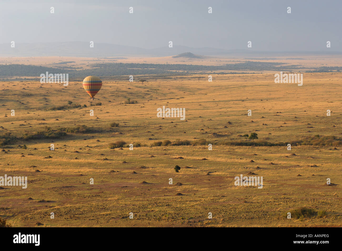 Corsa del palloncino al di sopra della savana, Kenya, centrale, Masai Mara NP, Narok Foto Stock