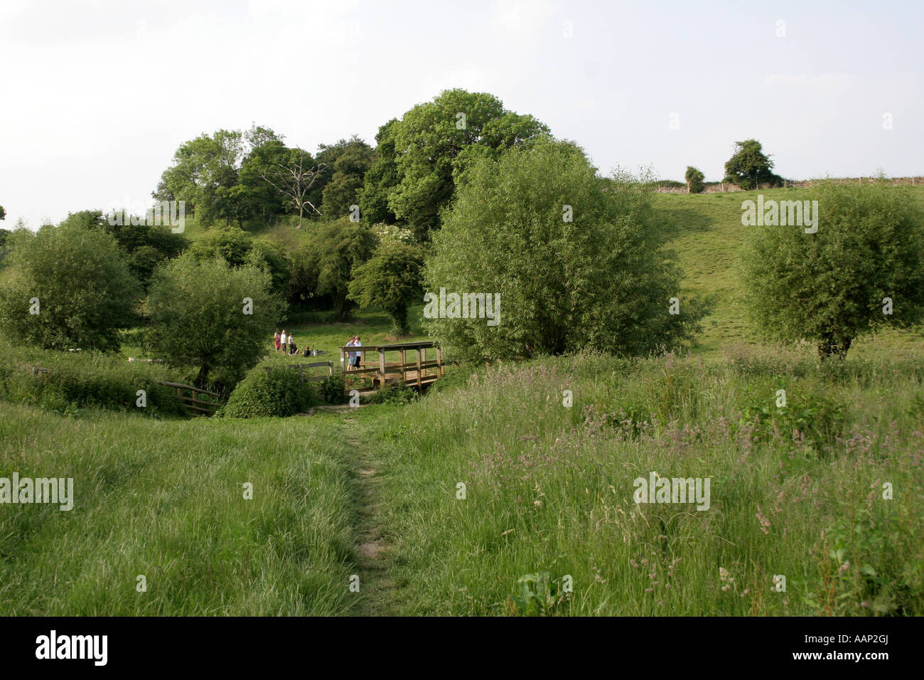 Tipico paesaggio inglese a Stonesfield comune in Oxfordshire UK. Foto Stock