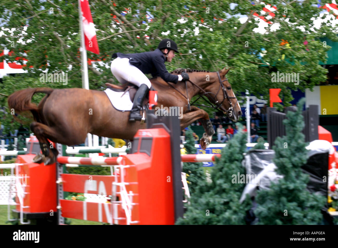 Equestrian show jumping a Calgary Alberta Canada Foto Stock