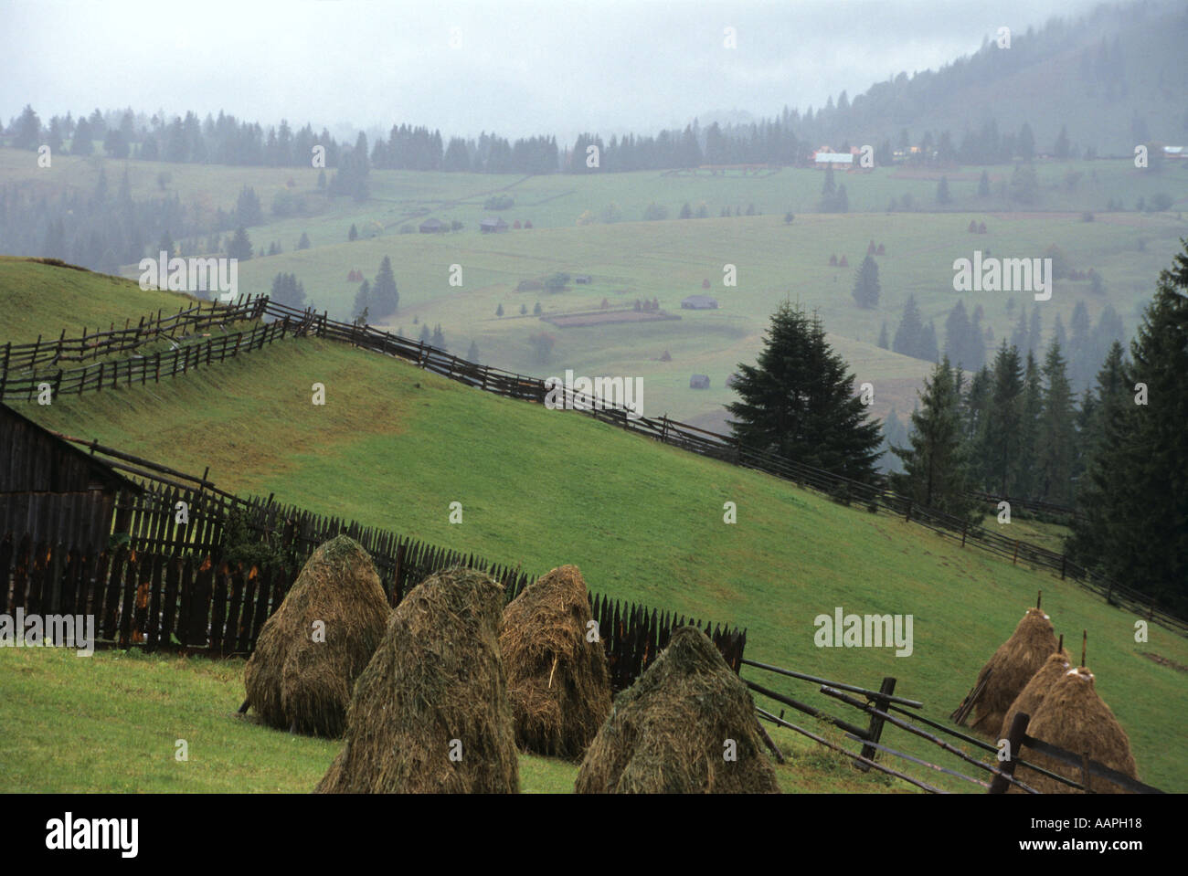La valle Birgau vicino al Castello di Dracula Transilvania Romania Foto Stock