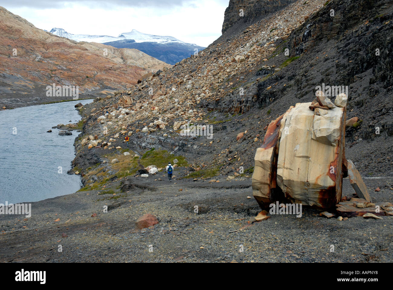 La Patagonia Argentina montagne del Parque Nacional Los Glaciares Foto Stock