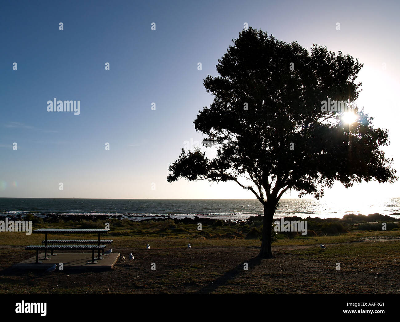 Seaside Park al tramonto Foto Stock