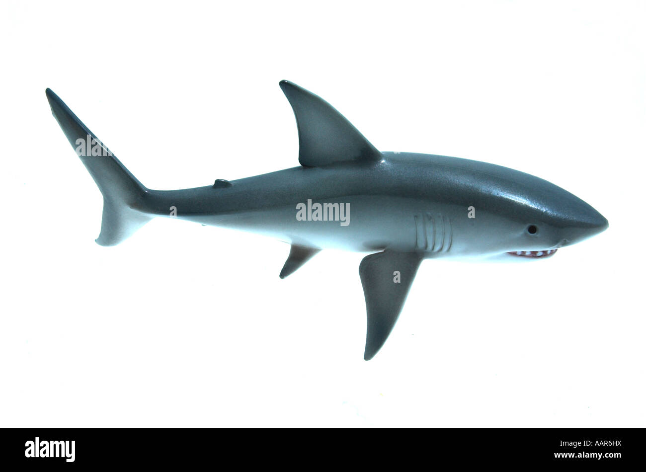 Un giocattolo shark in posa predatoria Foto Stock